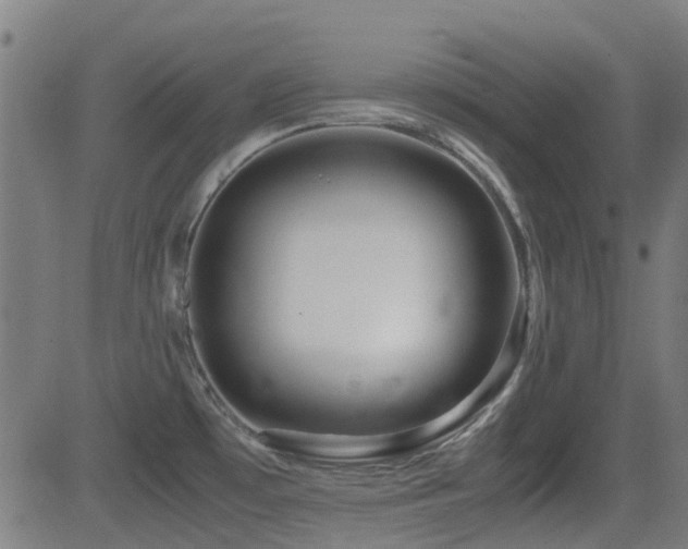 X0000081451481200701121219