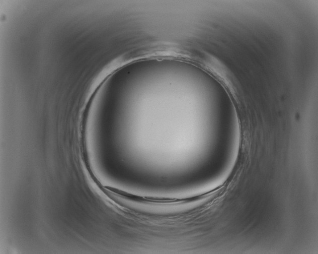 X0000081451483200701121219