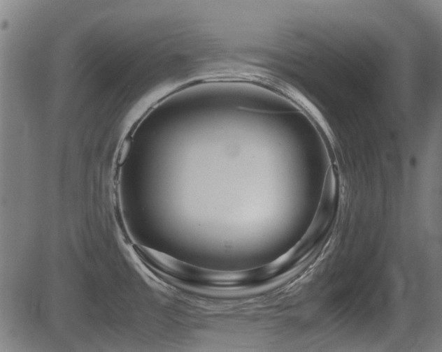 X0000081451485200701121219