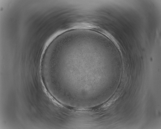 X0000081451488200701121218