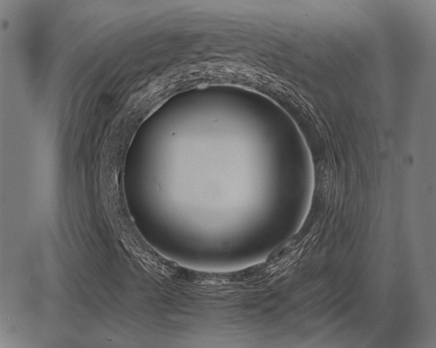X0000081451489200701121218