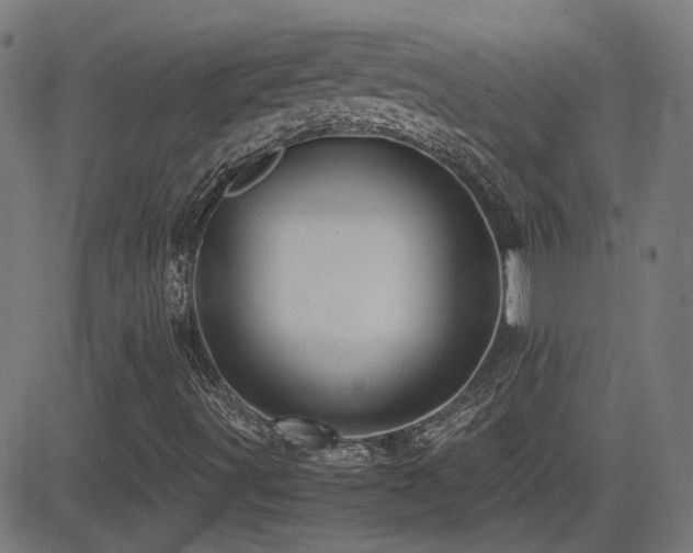 X0000081451491200701121218