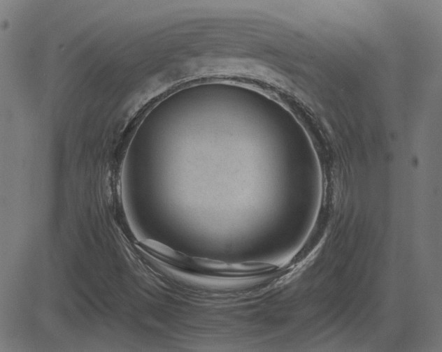 X0000081451497200701121218