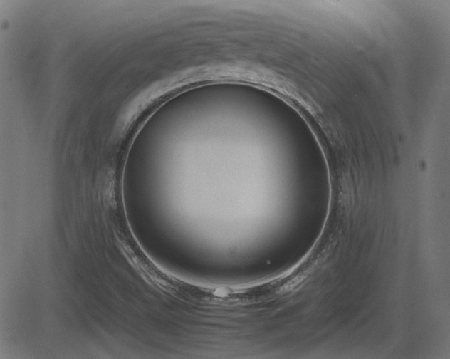 X0000081451499200701121218