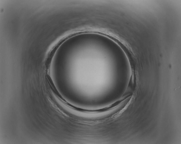 X0000081451502200701121218