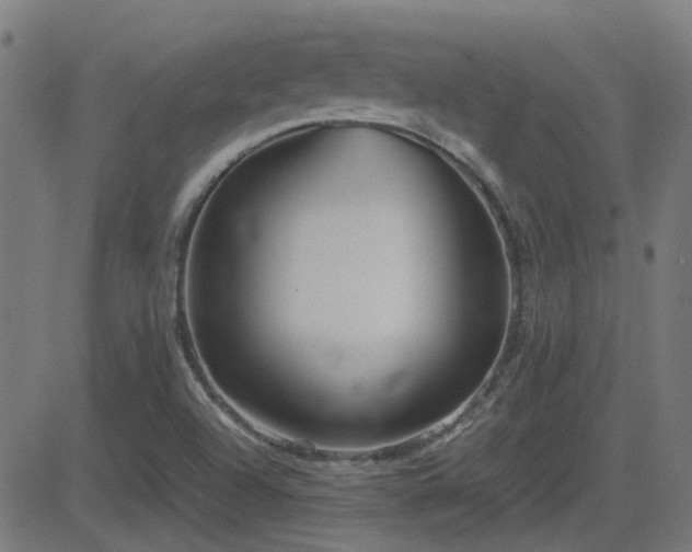 X0000081451504200701121218