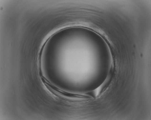 X0000081451516200701121218
