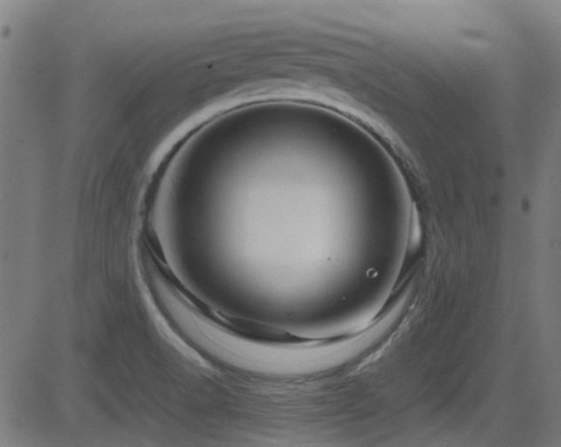 X0000081451518200701121218