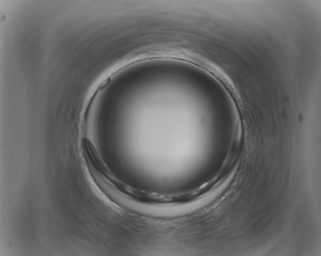 X0000081451528200701121218
