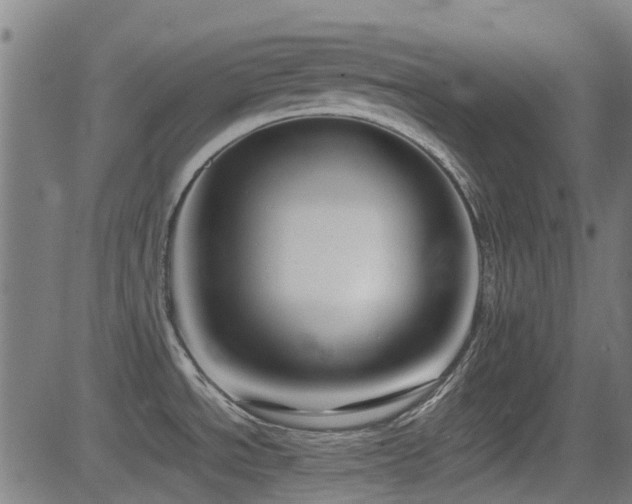 X0000081451534200701121218