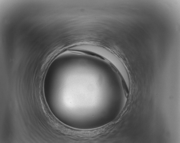 X0000081450001200701191726