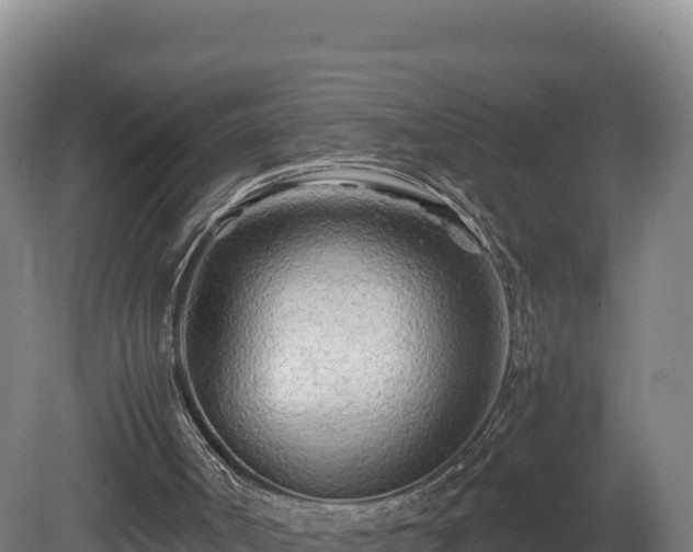 X0000081450002200701191726