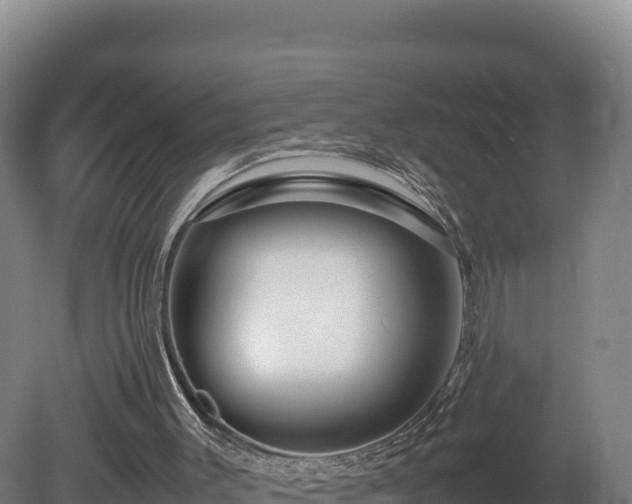 X0000081450003200701191726