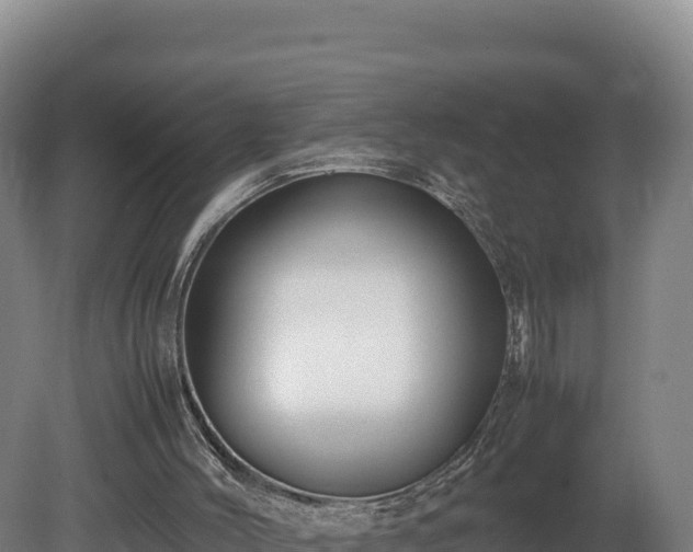 X0000081450004200701191726