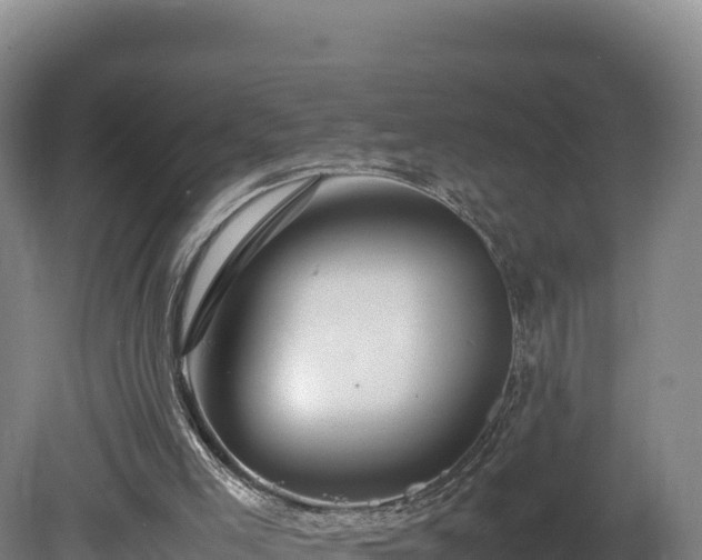 X0000081450005200701191726