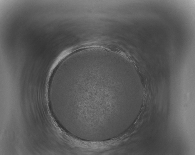 X0000081450006200701191726