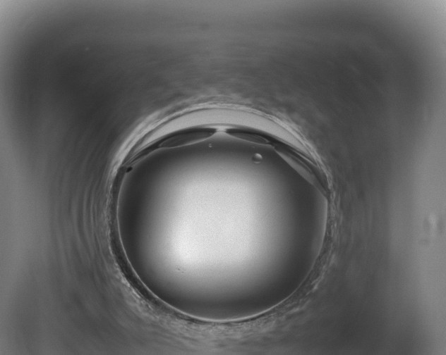 X0000081450007200701191726