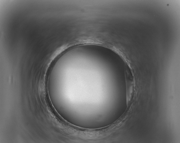 X0000081450008200701191726