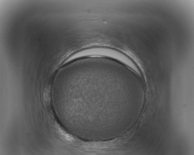 X0000081450009200701191726