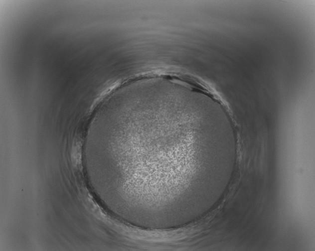 X0000081450010200701191726