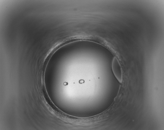 X0000081450011200701191726