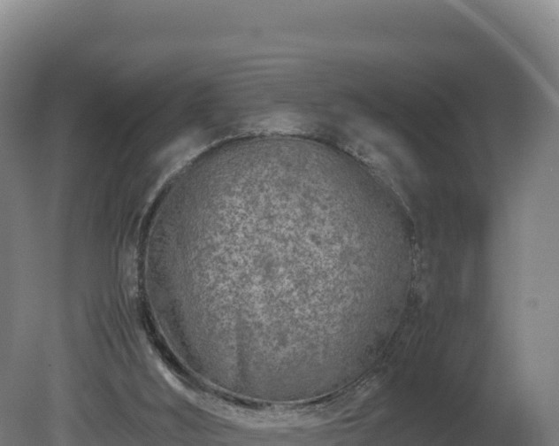 X0000081450012200701191726