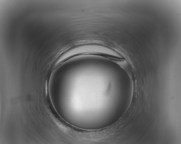 X0000081450013200701191726