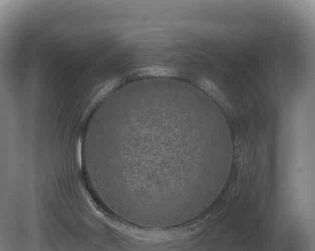 X0000081450014200701191726