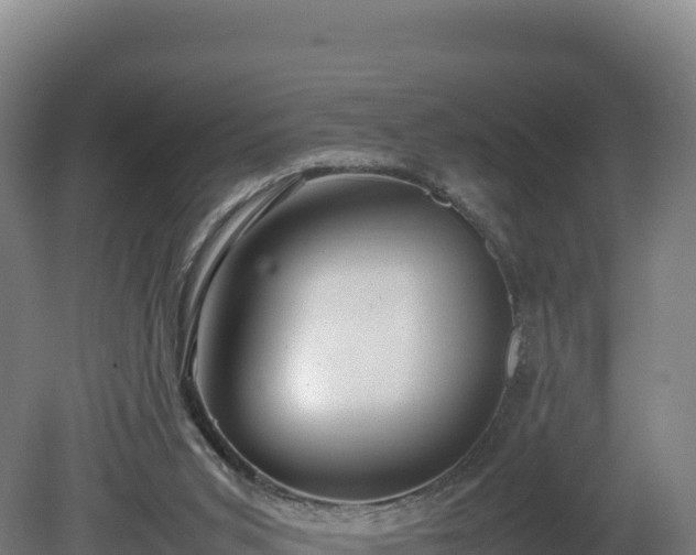 X0000081450015200701191726