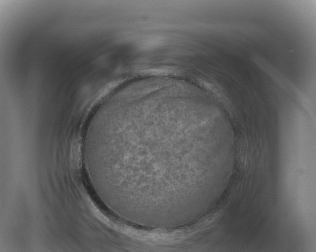 X0000081450016200701191726