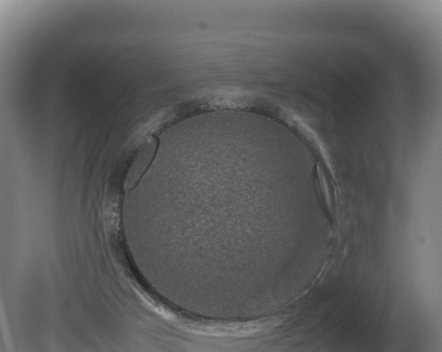 X0000081450017200701191726