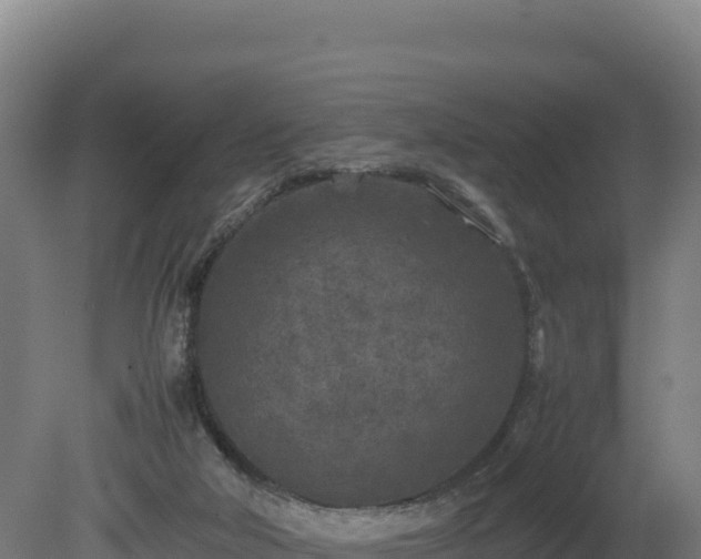 X0000081450018200701191726