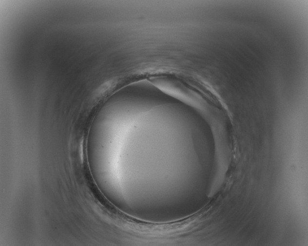 X0000081450019200701191725