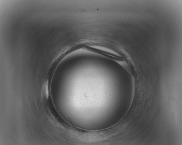 X0000081450020200701191725