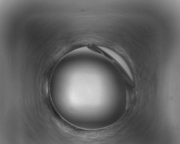 X0000081450021200701191725