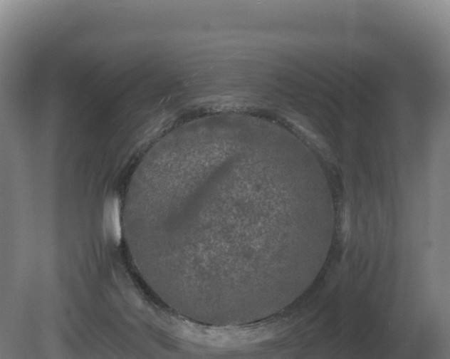 X0000081450022200701191725