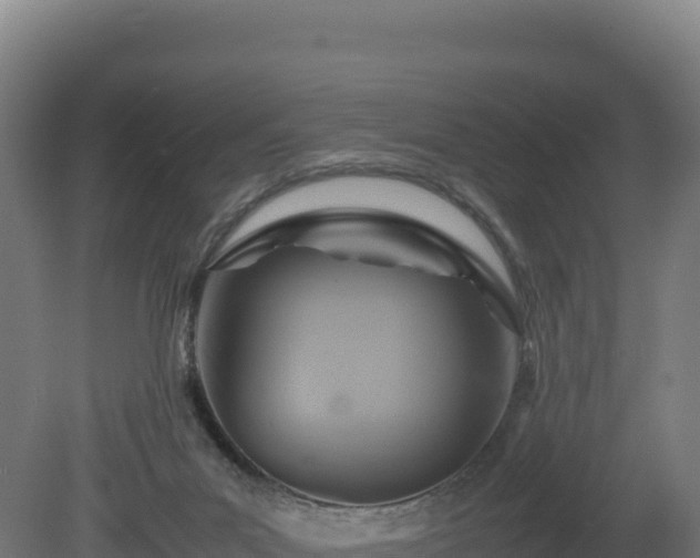 X0000081450023200701191725