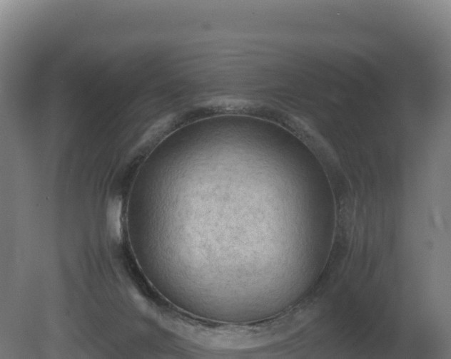 X0000081450024200701191725