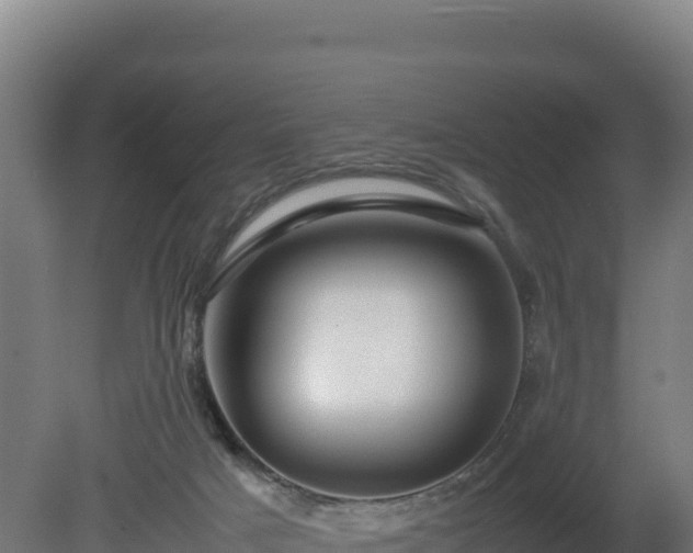 X0000081450025200701191725