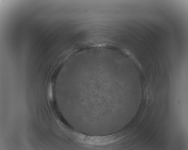 X0000081450026200701191725