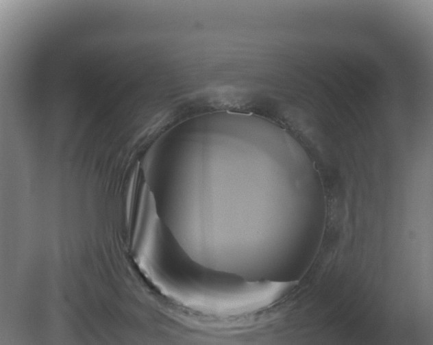 X0000081450027200701191725