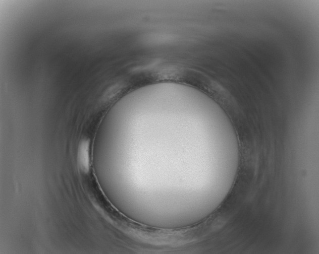 X0000081450028200701191725