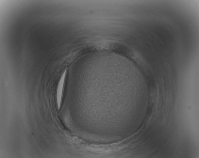 X0000081450029200701191725