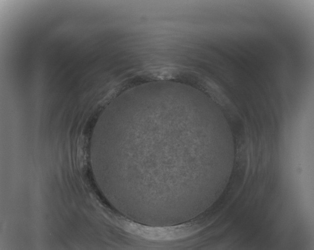 X0000081450030200701191725