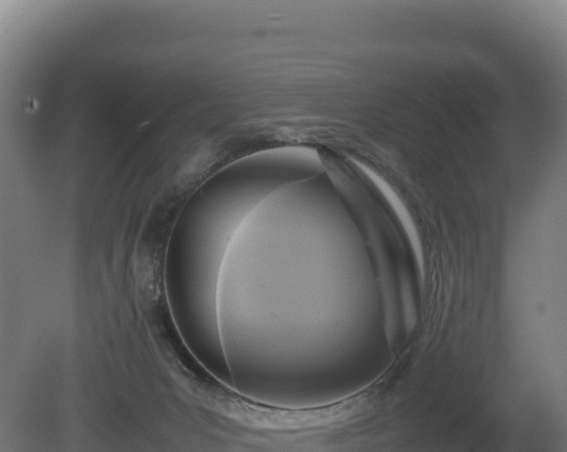 X0000081450031200701191725