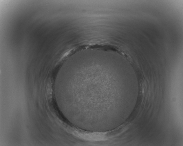 X0000081450032200701191725