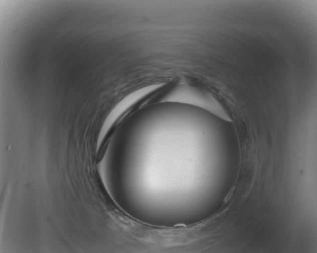 X0000081450033200701191725