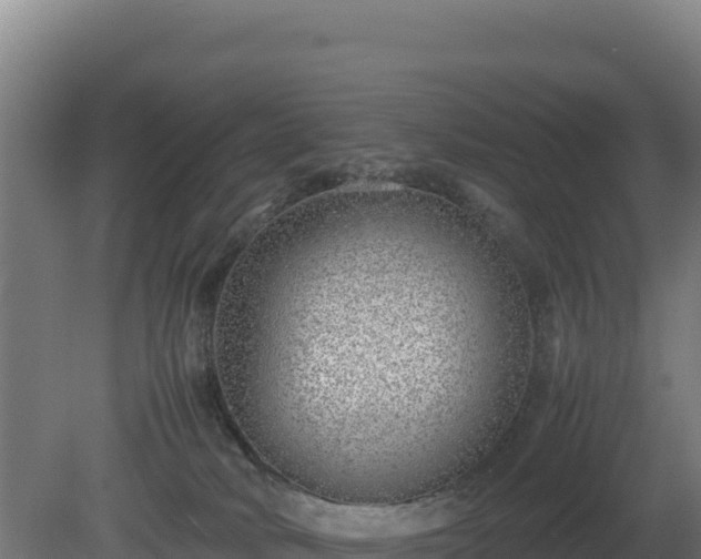 X0000081450034200701191725