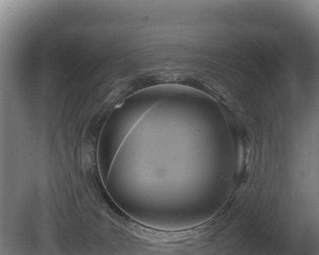 X0000081450035200701191725