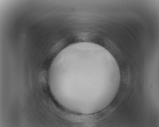 X0000081450036200701191725